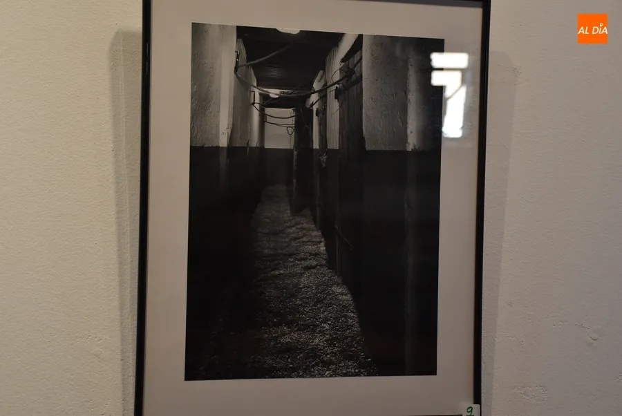 Foto 9 - Presentadas 15 im&aacute;genes al Concurso de Fotograf&iacute;a dedicado al interior de los monumentos