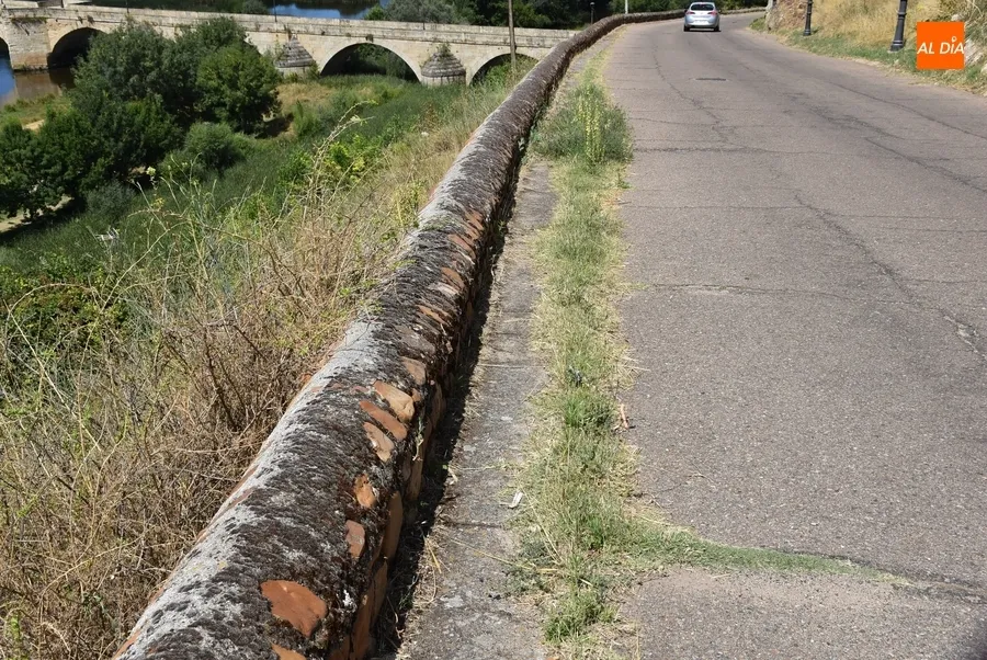 Foto 3 - Quejas por el estado de la hierba junto al r&iacute;o y en plazuelas del centro hist&oacute;rico