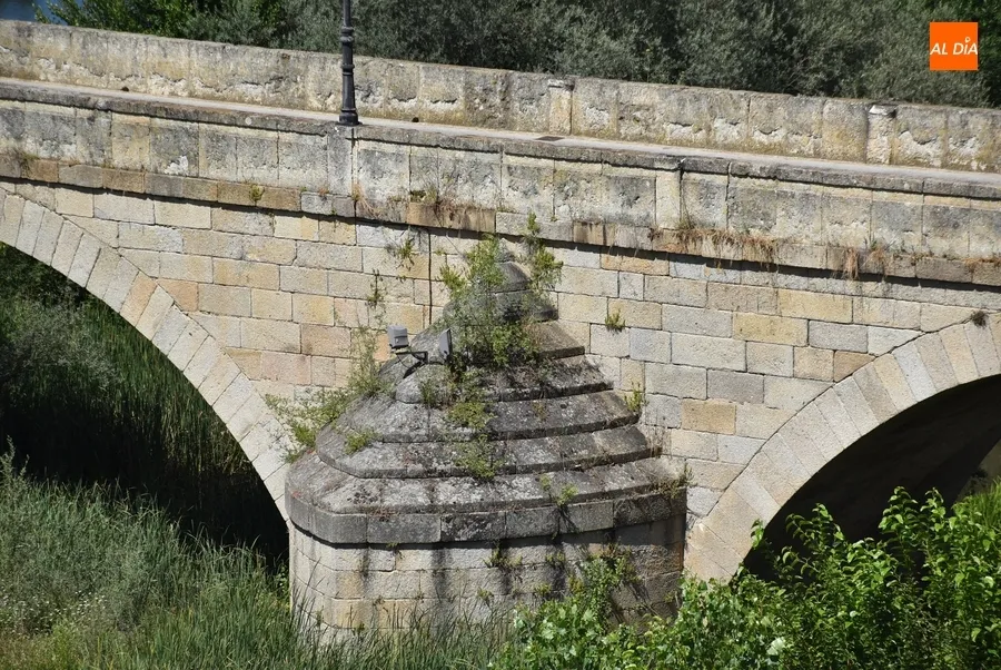 Foto 5 - Quejas por el estado de la hierba junto al r&iacute;o y en plazuelas del centro hist&oacute;rico
