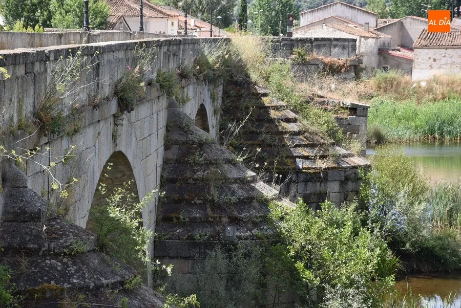Foto 7 - Quejas por el estado de la hierba junto al r&iacute;o y en plazuelas del centro hist&oacute;rico