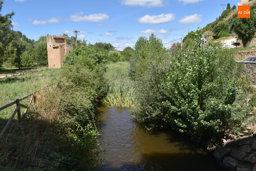 Foto 8 - Quejas por el estado de la hierba junto al r&iacute;o y en plazuelas del centro hist&oacute;rico
