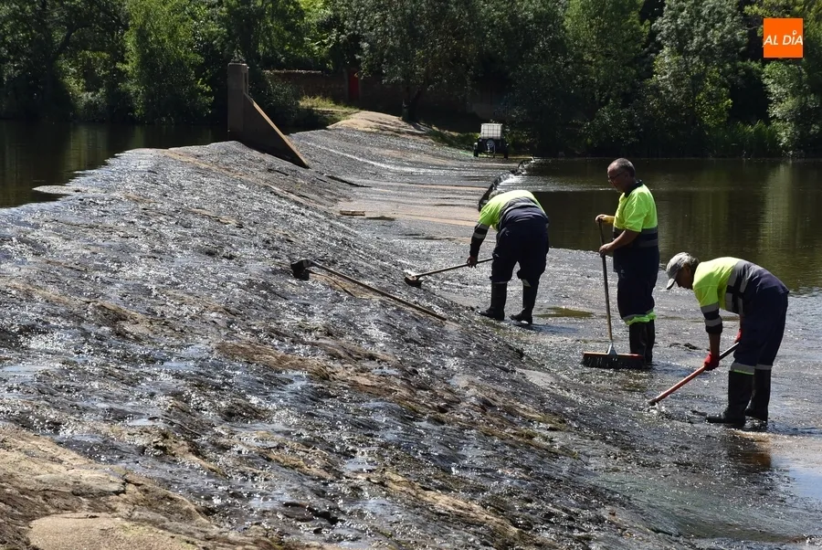 Foto 3 - Retirado el verd&iacute;n de la presa de La Pesquera para reducir el riesgo de resbalones