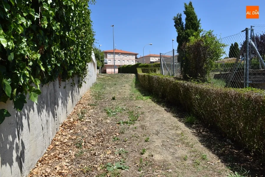 Foto 3 - Prevista para los pr&oacute;ximos d&iacute;as la limpieza de los caminos de la Pe&ntilde;a del Sastre hacia la calle Iberia