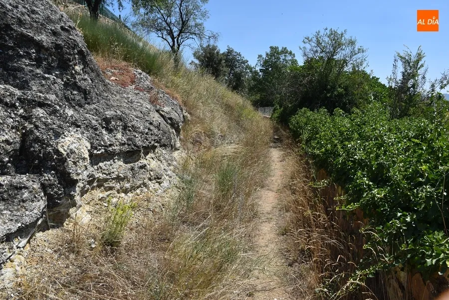 Foto 9 - Prevista para los pr&oacute;ximos d&iacute;as la limpieza de los caminos de la Pe&ntilde;a del Sastre hacia la calle Iberia