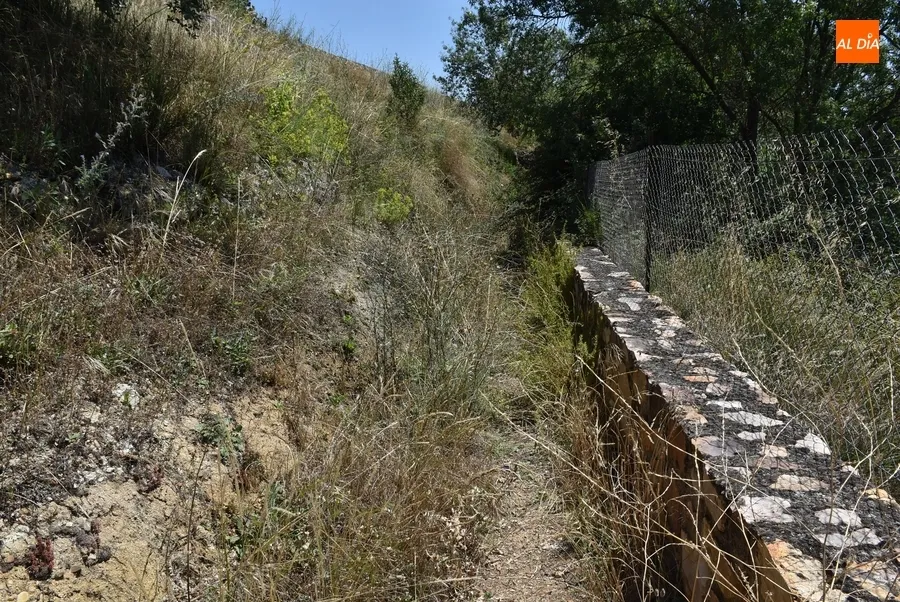 Foto 10 - Prevista para los pr&oacute;ximos d&iacute;as la limpieza de los caminos de la Pe&ntilde;a del Sastre hacia la calle Iberia