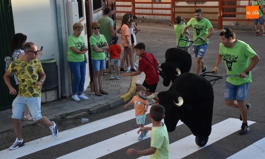 Foto 6 - Los ni&ntilde;os tambi&eacute;n tienen su oportunidad de correr delante de los astados en el Barrio Nuevo