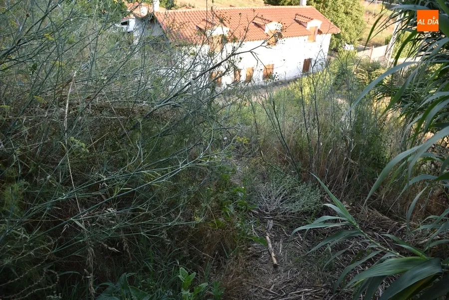 Foto 2 - Alertan de la peligrosidad de uno de los caminos de bajada al r&iacute;o