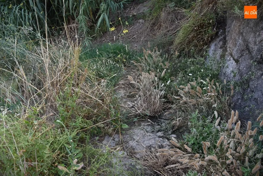 Foto 3 - Alertan de la peligrosidad de uno de los caminos de bajada al r&iacute;o