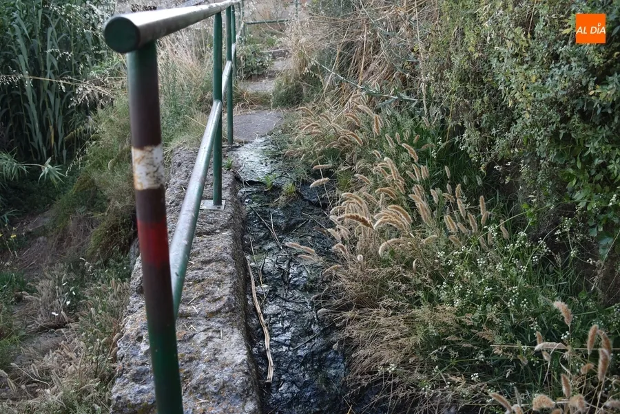 Foto 4 - Alertan de la peligrosidad de uno de los caminos de bajada al r&iacute;o