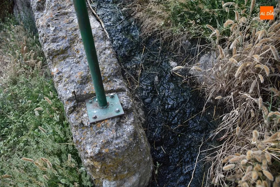 Foto 5 - Alertan de la peligrosidad de uno de los caminos de bajada al r&iacute;o