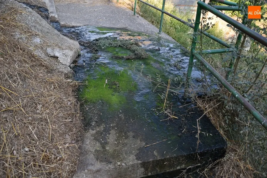 Foto 6 - Alertan de la peligrosidad de uno de los caminos de bajada al r&iacute;o