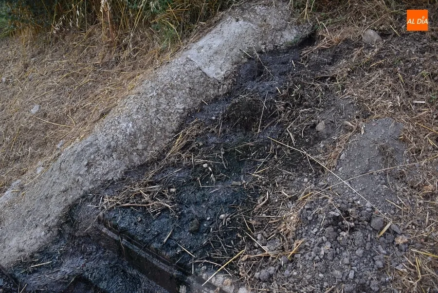 Foto 7 - Alertan de la peligrosidad de uno de los caminos de bajada al r&iacute;o