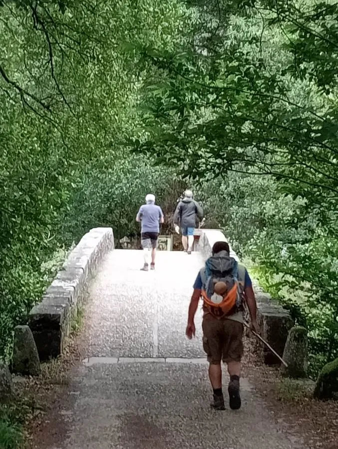 Foto 4 - Llegan a la Plaza del Obradoiro por el Camino del Norte los mirobrigenses fans del Camino de Santiago