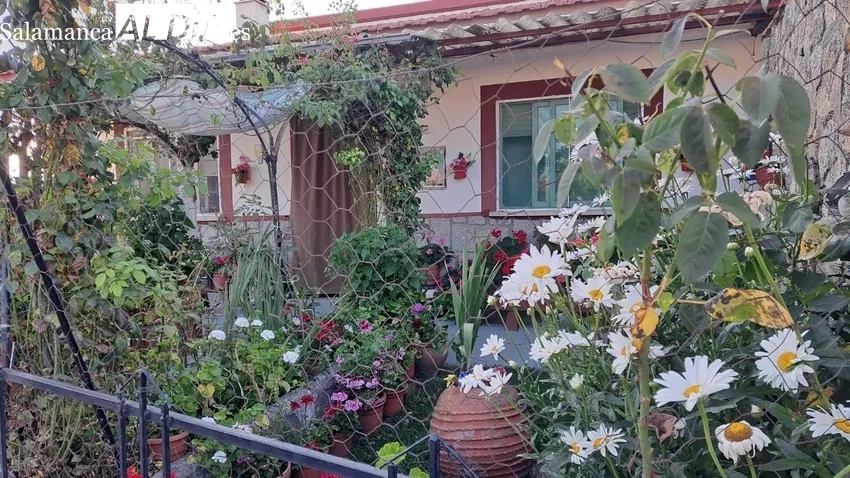 Imagen del jardín más bonito de Trabanca