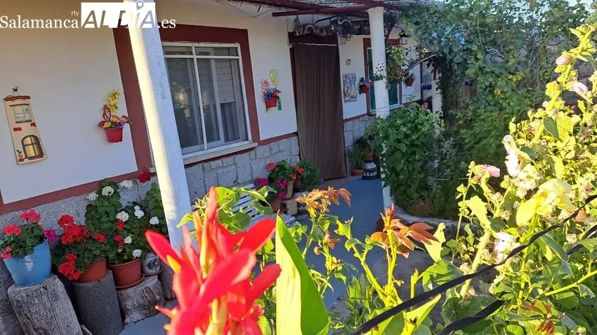 Imagen del jardín más bonito de Trabanca