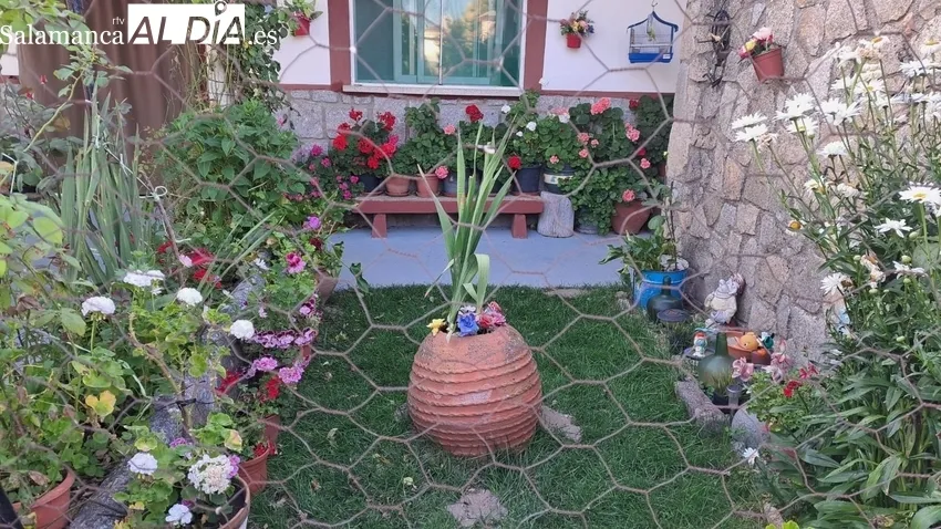 Imagen del jardín más bonito de Trabanca