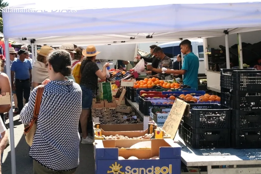Imágenes del mercadillo de este 7 de julio en Trabanca / CORRAL 