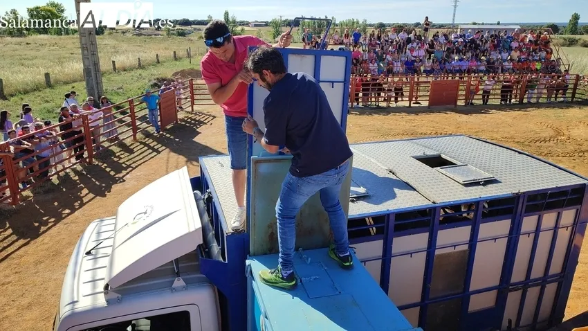 III de Cajón de Boada / CORRAL