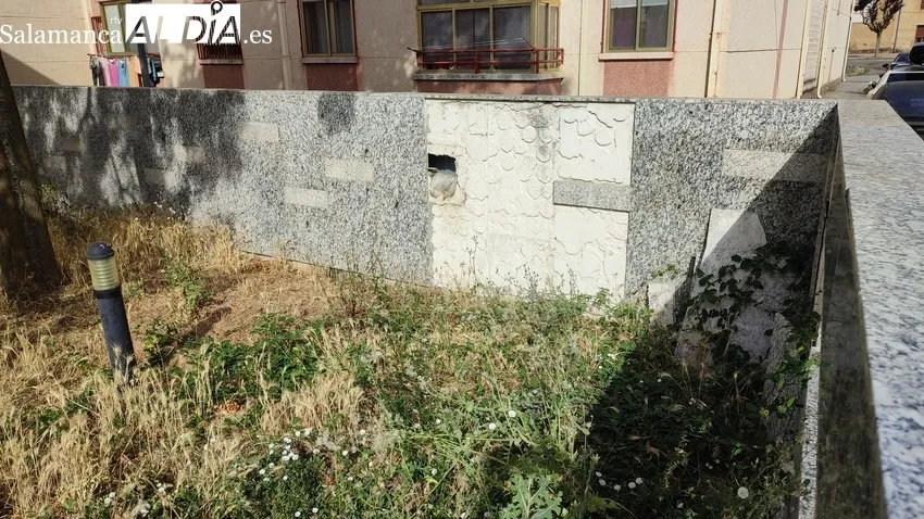 Estado que presenta el Centro de Salud de Vitigudino y la dejadez para solucionar, desde hace más de un año, que la ambulancia entre en la cochera / CORRAL 