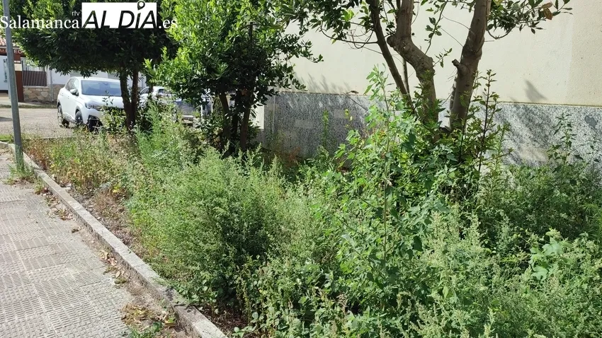 Estado que presenta el Centro de Salud de Vitigudino y la dejadez para solucionar, desde hace más de un año, que la ambulancia entre en la cochera / CORRAL 