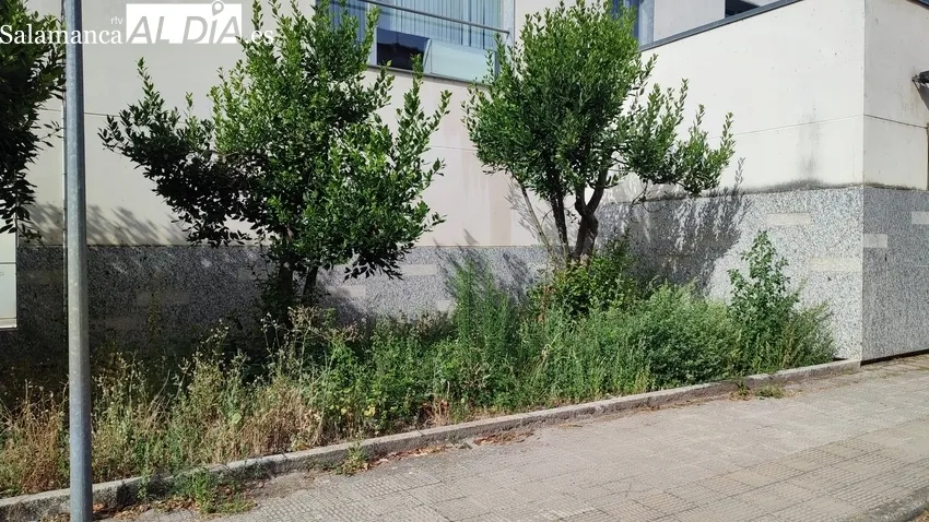 Estado que presenta el Centro de Salud de Vitigudino y la dejadez para solucionar, desde hace más de un año, que la ambulancia entre en la cochera / CORRAL 