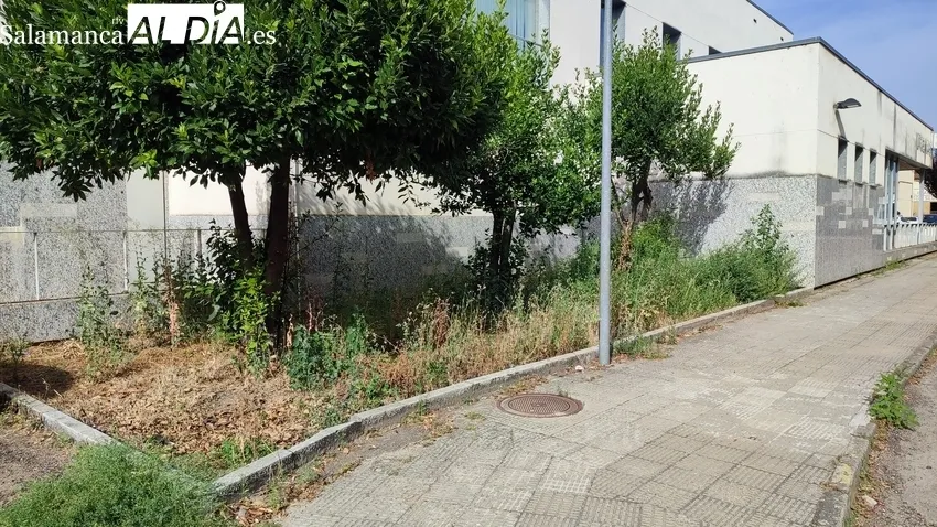 Estado que presenta el Centro de Salud de Vitigudino y la dejadez para solucionar, desde hace más de un año, que la ambulancia entre en la cochera / CORRAL 