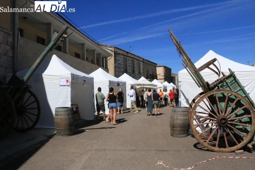 II Feria del Vino de Aldeadávila / CORRAL