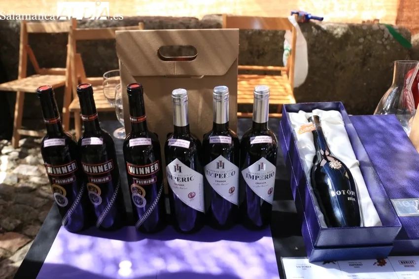 Nuevo éxito de público y expositores de la feria de artesanía y agroecológica de Monleras / CORRAL