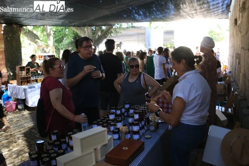 Nuevo éxito de público y expositores de la feria de artesanía y agroecológica de Monleras / CORRAL