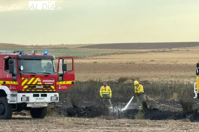 Foto 8 - Varias dotaciones de bomberos, helic&oacute;pteros y agricultores, unidos para extinguir un incendio entre Macotera y Santiago de la Puebla
