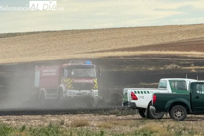 Foto 9 - Varias dotaciones de bomberos, helic&oacute;pteros y agricultores, unidos para extinguir un incendio entre Macotera y Santiago de la Puebla