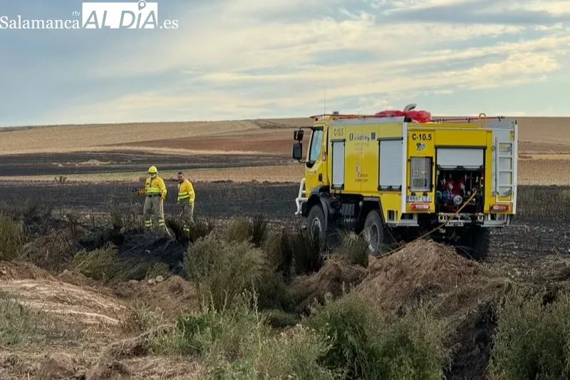 Foto 7 - Varias dotaciones de bomberos, helic&oacute;pteros y agricultores, unidos para extinguir un incendio entre Macotera y Santiago de la Puebla