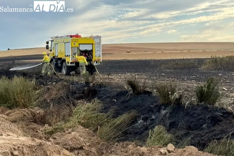 Foto 6 - Varias dotaciones de bomberos, helic&oacute;pteros y agricultores, unidos para extinguir un incendio entre Macotera y Santiago de la Puebla