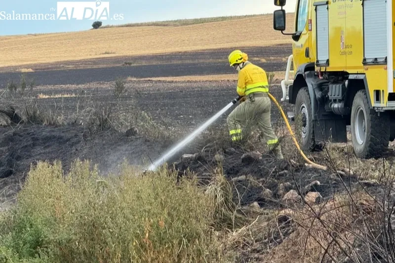 Foto 4 - Varias dotaciones de bomberos, helic&oacute;pteros y agricultores, unidos para extinguir un incendio entre Macotera y Santiago de la Puebla