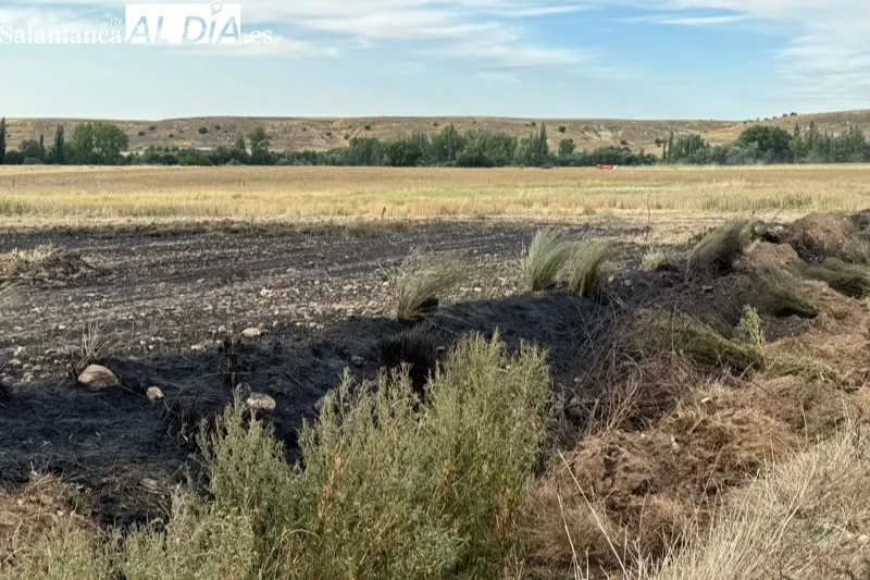 Foto 2 - Varias dotaciones de bomberos, helic&oacute;pteros y agricultores, unidos para extinguir un incendio entre Macotera y Santiago de la Puebla