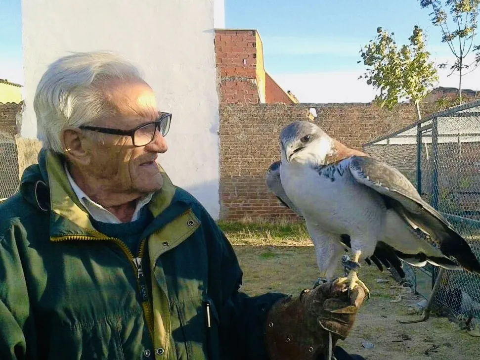 Foto 3 - Cinco a&ntilde;os sin Pepe S&aacute;nchez, el gran cetrero de Pe&ntilde;aranda para el mundo: &ldquo;Merece un sentido homenaje&rdquo;