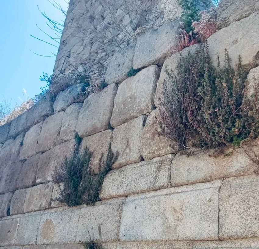 Imágenes del último derrumbe de la muralla de Ledesma, declarada Conjunto Histórico