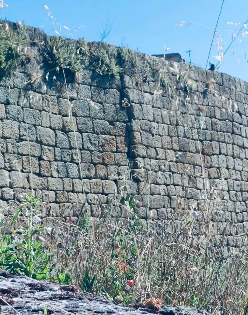 Imágenes del último derrumbe de la muralla de Ledesma, declarada Conjunto Histórico