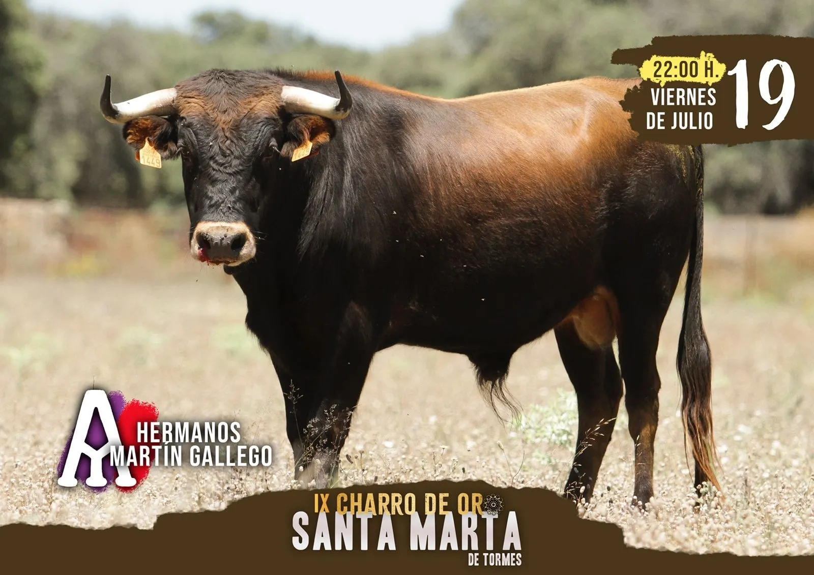Foto 4 - Talento Castellano repite en Santa Marta: Gran Prix de pe&ntilde;as como novedad y la ineludible cita del Charro de Oro