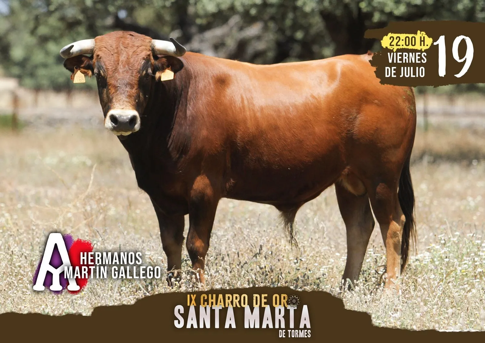 Foto 6 - Talento Castellano repite en Santa Marta: Gran Prix de pe&ntilde;as como novedad y la ineludible cita del Charro de Oro