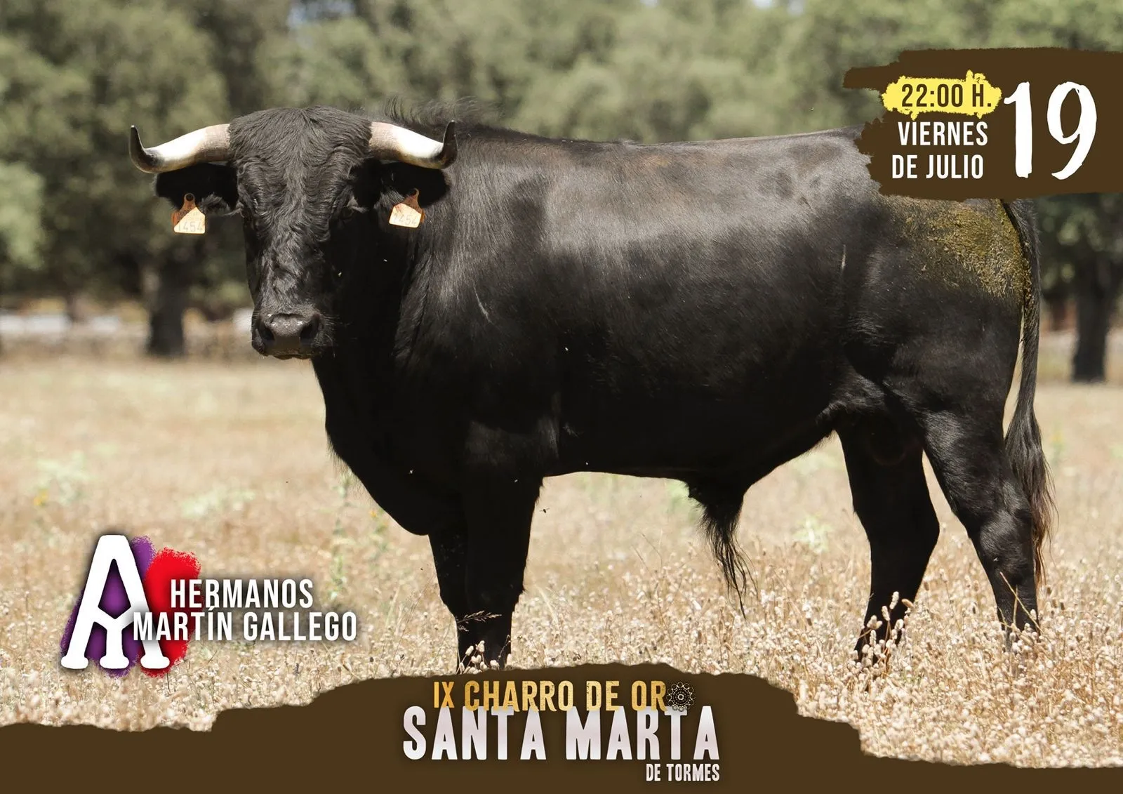 Foto 7 - Talento Castellano repite en Santa Marta: Gran Prix de pe&ntilde;as como novedad y la ineludible cita del Charro de Oro