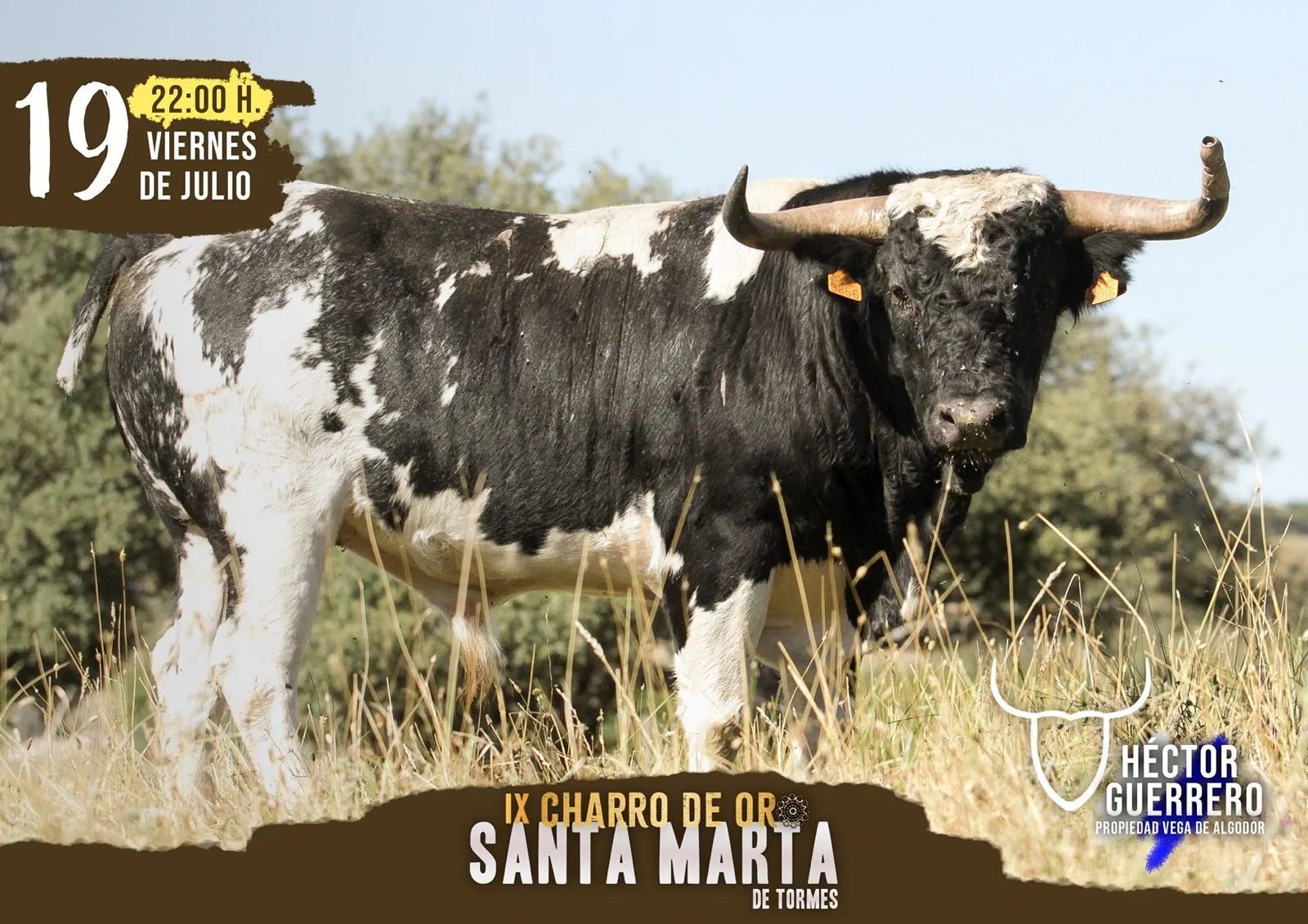 Foto 9 - Talento Castellano repite en Santa Marta: Gran Prix de pe&ntilde;as como novedad y la ineludible cita del Charro de Oro
