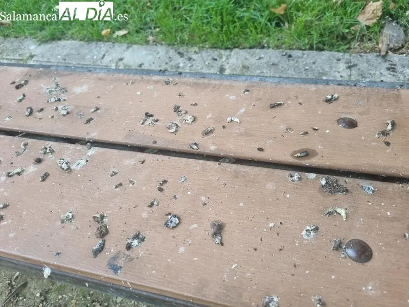 Excrementos de palomas en bancos del parque de la Alamedilla