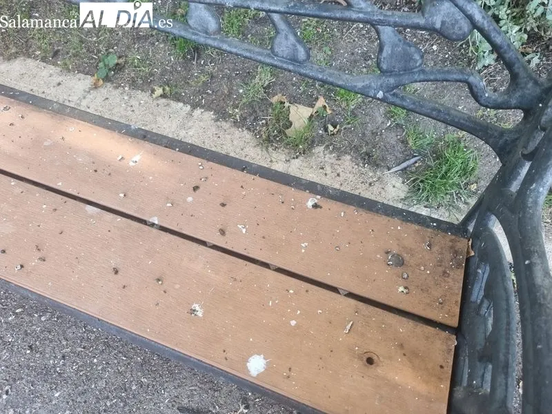 Excrementos de palomas en bancos del parque de la Alamedilla