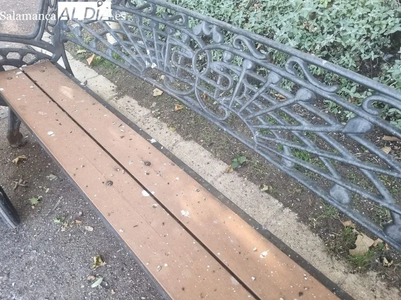 Excrementos de palomas en bancos del parque de la Alamedilla