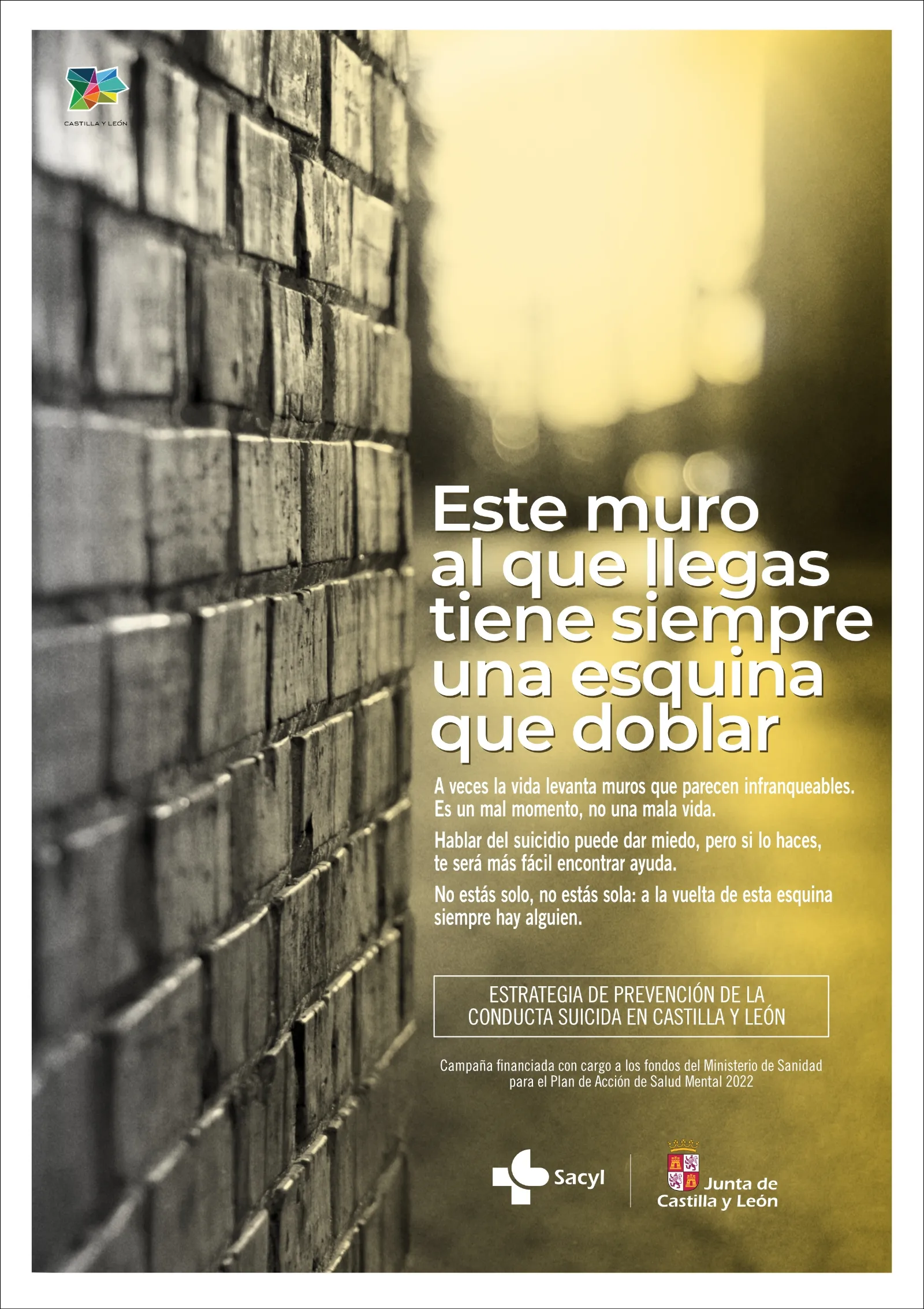 Foto 2 - Los suicidios son un problema de salud p&uacute;blica prioritario: esta es la Estrategia de prevenci&oacute;n de la conducta suicida en Castilla y Le&oacute;n