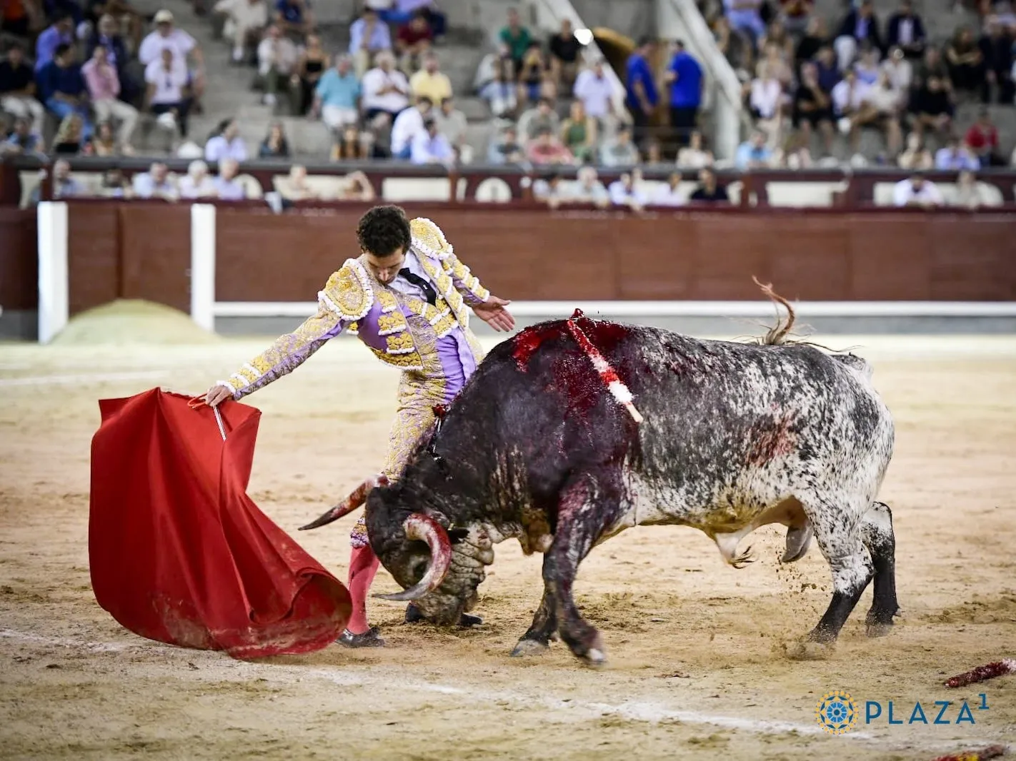 El salmantino Valentín Hoyos en Las Ventas. Foto: Plaza 1 Las Ventas