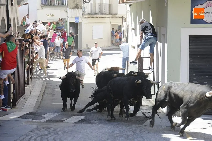 Últimos Festejos taurinos en Moraleja / Fotos: Adrián M.Pastor