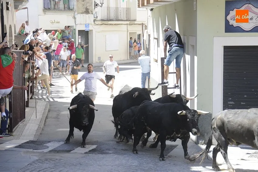 Últimos Festejos taurinos en Moraleja / Fotos: Adrián M.Pastor