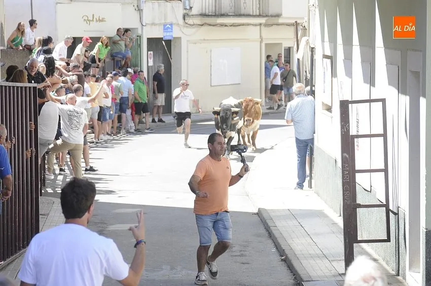 Últimos Festejos taurinos en Moraleja / Fotos: Adrián M.Pastor
